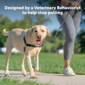 Alternative view of PetSafe Easy Walk No-Pull Dog Harness - The Ultimate Harness to Help Stop Pulling - Take Control & Teach Better Leash Manners - Helps Prevent Pets Pulling on Walks, Large, Royal Blue/Navy Blue