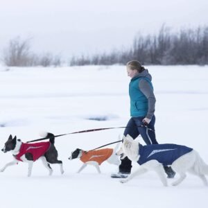 Alternative view of RC Pet Products Cascade Dog Coat, Essential All Weather Dog Jacket, Size 24, Arctic Blue