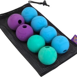 Chew King Dog Fetch Balls for All Breed Sizes