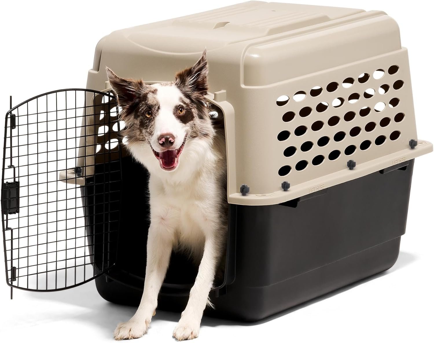 Petmate Vari Dog Kennel - Portable Dog Carriers & Crates for Medium Dogs, Airline-Friendly, Durable Plastic, Pet Carrier For Home and Travel, 32 Inches, Taupe and Black - Image 2