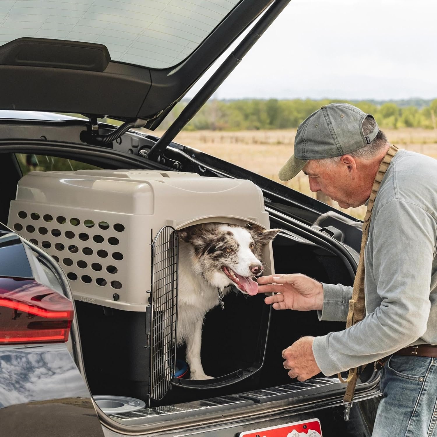 Petmate Vari Dog Kennel - Portable Dog Carriers & Crates for Medium Dogs, Airline-Friendly, Durable Plastic, Pet Carrier For Home and Travel, 32 Inches, Taupe and Black - Image 4