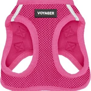 Best Pet Supplies Voyager Step-in Air Harness - All Weather Mesh, Reflective, No Pull Harness for Dogs, Cats - Secure with Hook & Loop Fastener, Buckle, Double D-Rings - Fuchsia, M