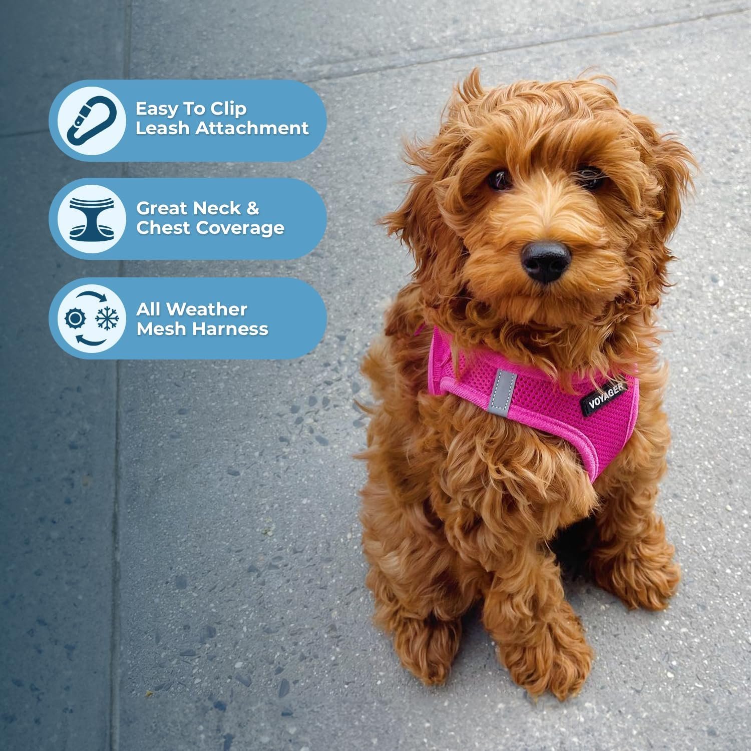 Best Pet Supplies Voyager Step-in Air Harness - All Weather Mesh, Reflective, No Pull Harness for Dogs, Cats - Secure with Hook & Loop Fastener, Buckle, Double D-Rings - Fuchsia, M - Image 3