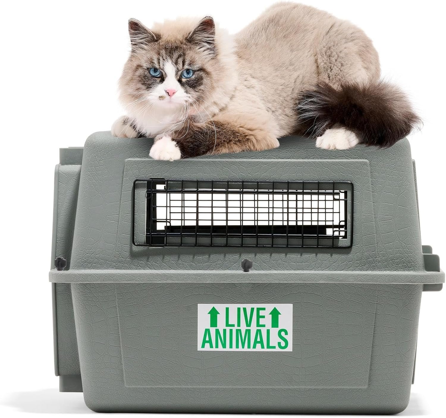 Petmate Sky Kennel - For Air and Travel, Airline Compliant Dog Crate for Pets up to 15 lbs, Heavy Duty Dog Kennel, Made in the USA- 21 Inches - Image 7