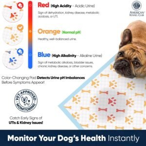 Alternative view of AKC Advanced Puppy Pads with Color-Changing Health+ Indicator and Ultra Absorbent Quick Dry Gel – 22"x22" Leakproof Training Pads for Dogs – Fresh Scented – 100 Count