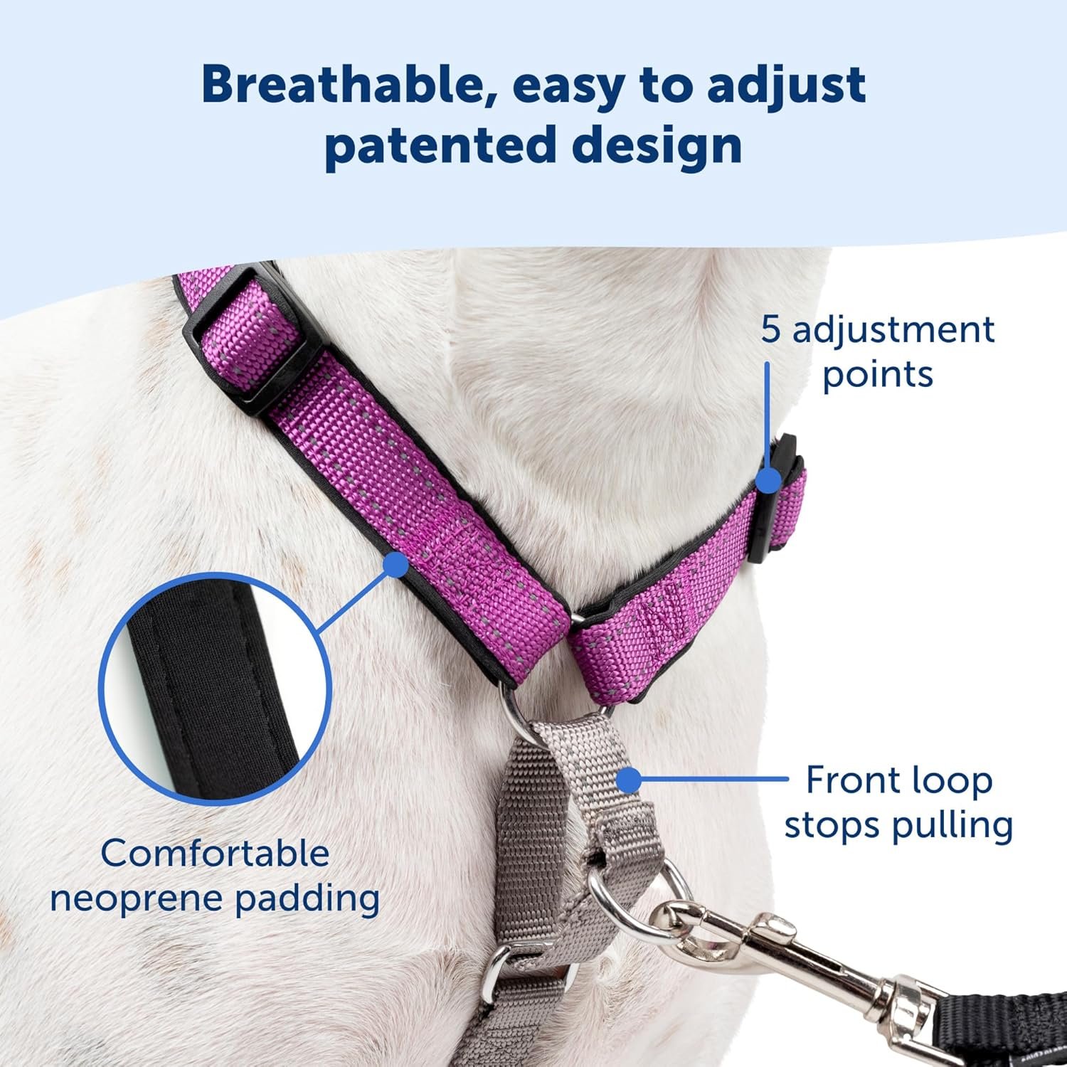 PetSafe 3-in-1 Harness - Comfortable Easy-Walk Dog Chest Harness with Front Leash Attachment to Reduce Pulling, Choking & Gagging - Dog Obedience Gear - Medium - Teal - Image 4
