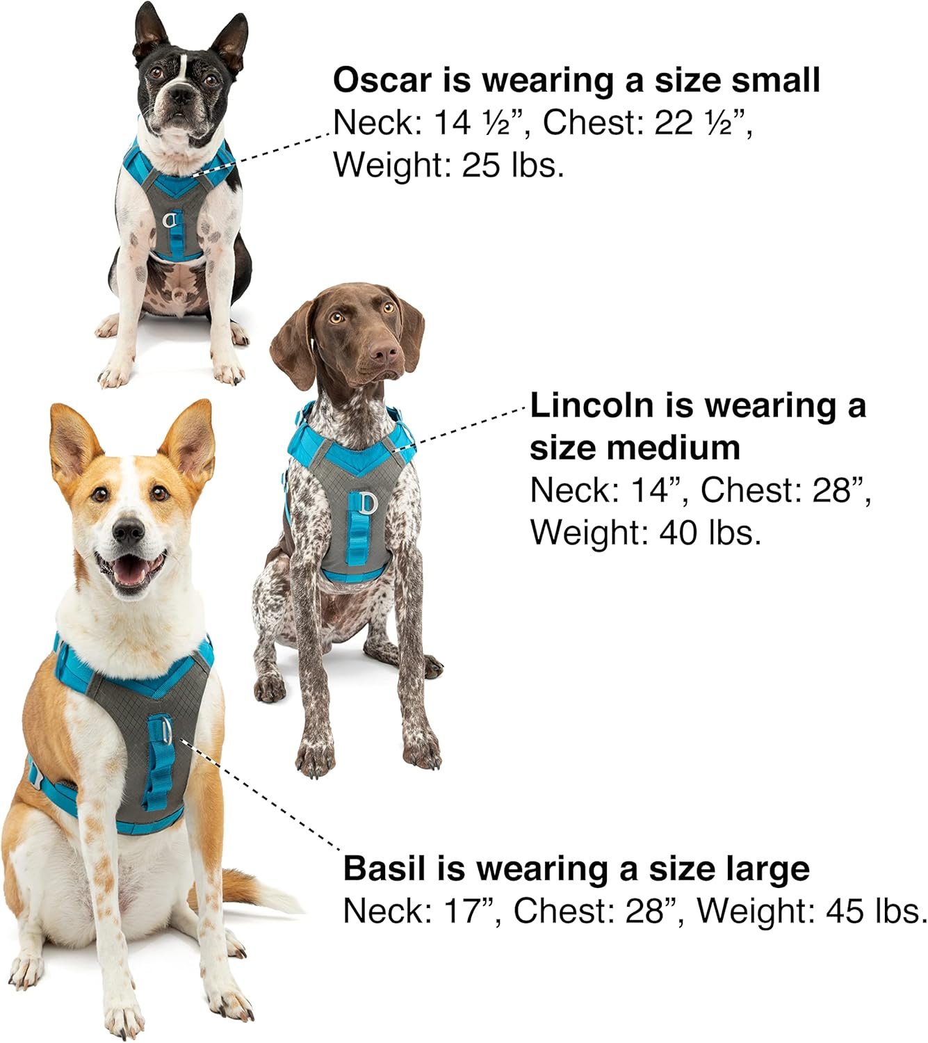 Kurgo Journey Air Dog Harness, Vest Harnesses for Dogs, Pet Hiking Harness for Running & Walking, Reflective, Padded, Includes Control Handle, No Pull Front Clip (Coral, Medium) - Image 7