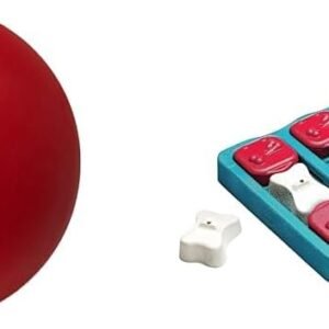 Outward Hound Nina Ottosson Dog Brick Dog Puzzle Interactive Treat Puzzle & Enrichment Toy