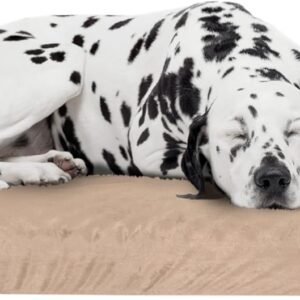 PETMAKER Memory Foam Dog Bed - 2-Layer Orthopedic Pet Pad with Machine Washable Cover - 37x24 Pet Bed for Large Dogs (Tan)