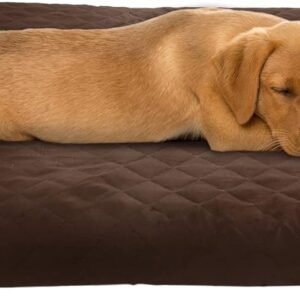 Water-Resistant Dog Bed - 2-Layer Memory Foam Dog Bed with Removable Washable Cover and Non-Slip Bottom