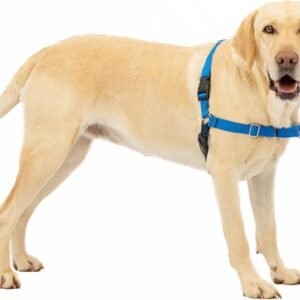 PetSafe Easy Walk No-Pull Dog Harness - The Ultimate Harness to Help Stop Pulling - Take Control & Teach Better Leash Manners - Helps Prevent Pets Pulling on Walks, Large, Royal Blue/Navy Blue