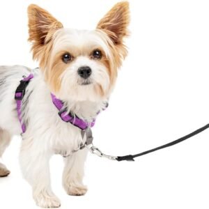 PetSafe 3 in 1 Dog Harness - No Pull Solution for Dogs - Reflective Dog Harness - Front D-Ring Clip Helps Stop Pulling - Comfortable Padded Straps - Top Handle Enhances Control - Plum - Extra Small