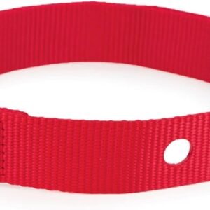 PetSafe 1 Inch Replacement Collar Strap with 2 Holes, for Wireless Fence and In-Ground Fence Collars - for Dogs, Red