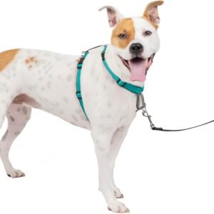 PetSafe 3-in-1 Harness - Comfortable Easy-Walk Dog Chest Harness with Front Leash Attachment to Reduce Pulling, Choking & Gagging - Dog Obedience Gear - Medium - Teal