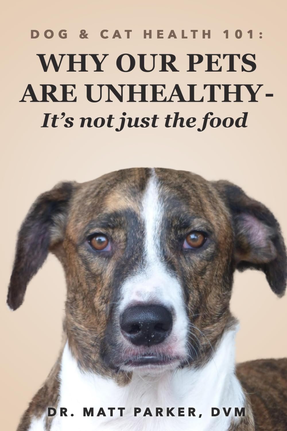Dog & Cat Health 101: Why Our Pets Are Unhealthy (It's Not Just the Food...)