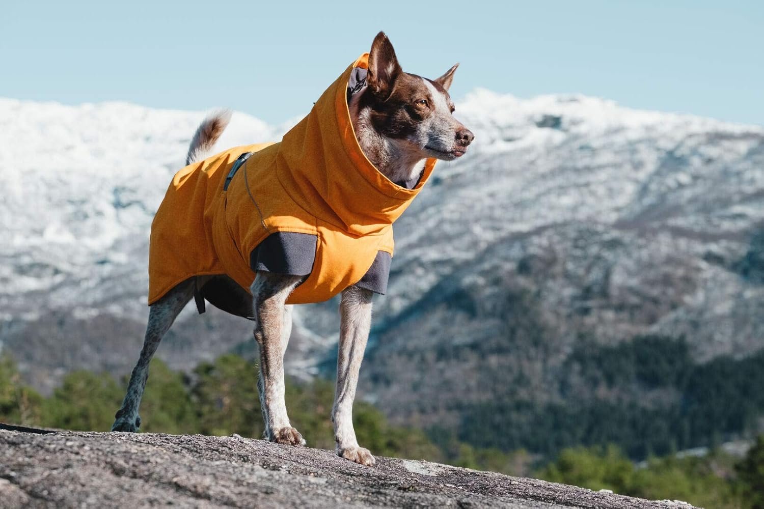 Hurtta Expedition Parka, Winter Dog Coat, Buckthorn, 26 in - Image 3