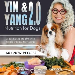 Yin & Yang 2.0 Nutrition for Dogs: Maximizing Health with Whole Foods, Not Drugs