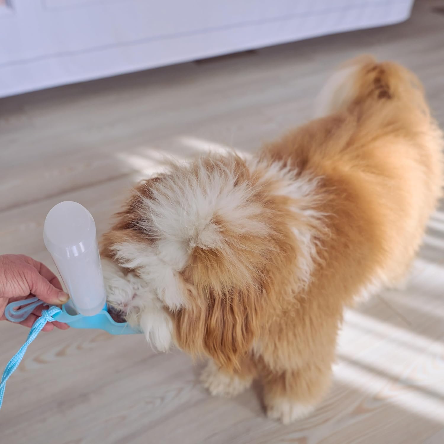 SPOT Pet Handi-Drink Mini Water Bottle – 9oz Travel Dog & Cat Water Dispenser with Fold-Out Trough, Sport Belt Clip & 60-Inch Carry Strap – Portable, Leak-Proof Hydration for Walks & Travel - Image 6