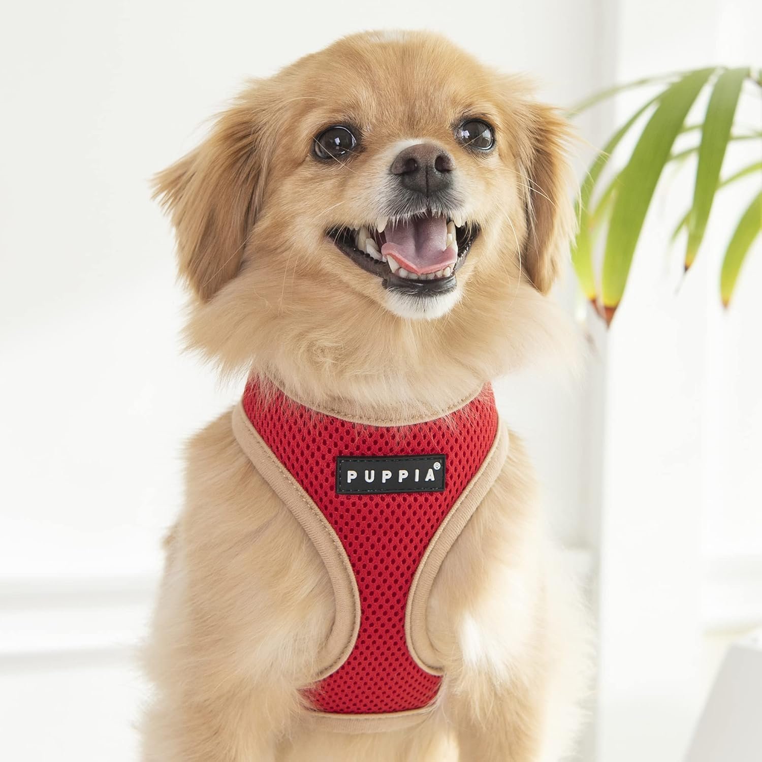 Puppia Soft Dog Harness II Mesh Over-The-Head All Season No Pull No Choke Walking Training Adjustable for Small & Medium Dog - RED - S - Image 4