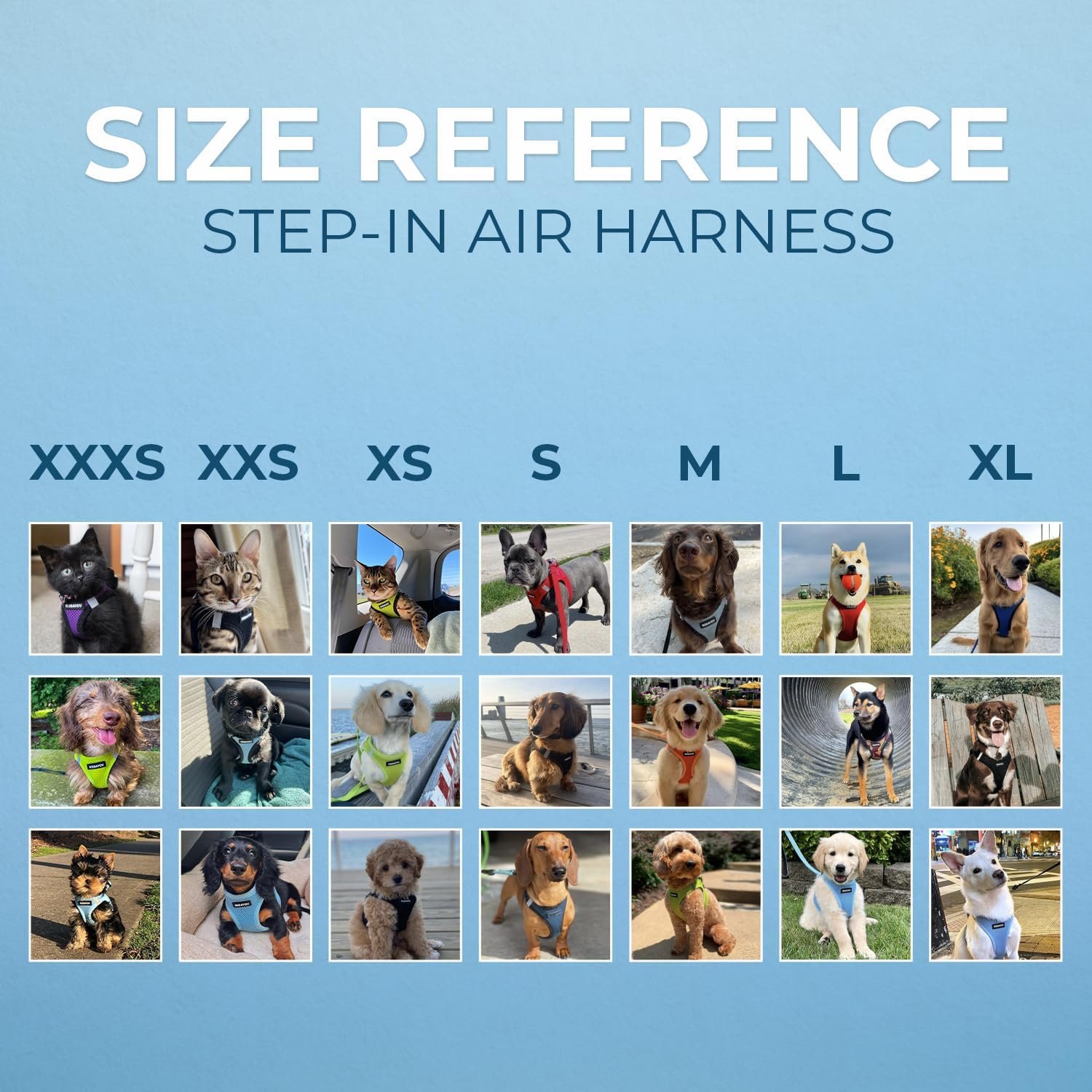 Best Pet Supplies Voyager Step-in Air Dog Harness - All Weather Mesh, Reflective, No Pull Harness for Small, Medium Dogs, Cats - Secure with Hook & Loop Fastener, Buckle, Double D-Rings - Fuchsia, L - Image 6