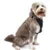 Kurgo Enhanced Strength Tru-Fit Smart Dog Harness, Black, Large - Crash Tested Car Safety Harness for Dogs, No Pull Dog Harness, Includes Pet Safety Seat Belt Tether