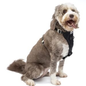 Kurgo Enhanced Strength Tru-Fit Smart Dog Harness, Black, Large - Crash Tested Car Safety Harness for Dogs, No Pull Dog Harness, Includes Pet Safety Seat Belt Tether