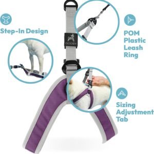 Alternative view of Gooby Simple Step in III Harness - Blue, Medium - Small Dog Harness with Scratch Resistant Outer Vest - Soft Inner Mesh Harness for Small, Medium Dogs