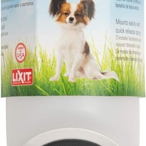Lixit Wide Mouth Water Bottles for Large and Small Dogs (16oz Small Dog, White)