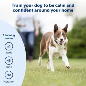 Alternative view of PetSafe Remote Trainer Dog Training Collar - 3 Training Modes: Tone, Vibration, 15 Levels of Static Stimulation, Standard for Dogs Over 8lb+ - Waterproof, Durable, Rechargeable - 100 Yards (300 Feet)