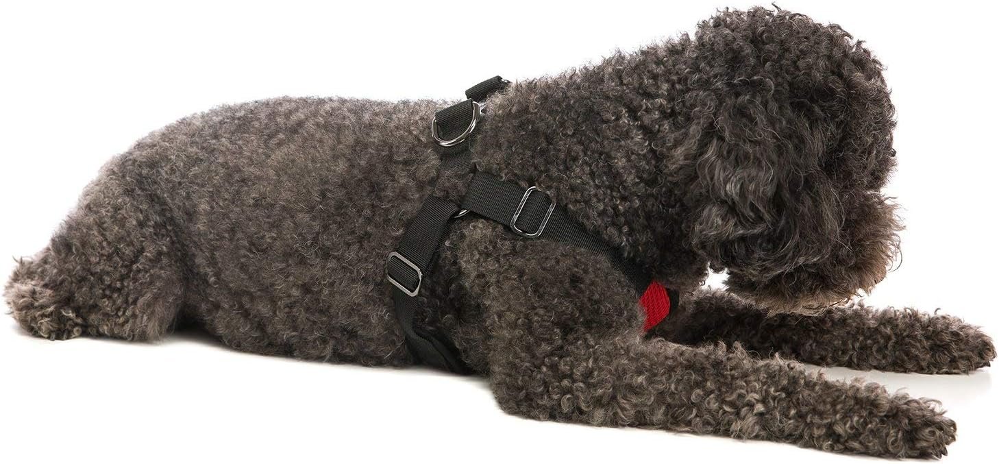 Gooby Comfort X Step in Harness - Red, X-Large - No Pull Small Dog Harness Patented Choke-Free X Frame - Perfect on The Go Dog Harness for Medium Dogs No Pull or Small Dogs for Indoor and Outdoor Use - Image 6