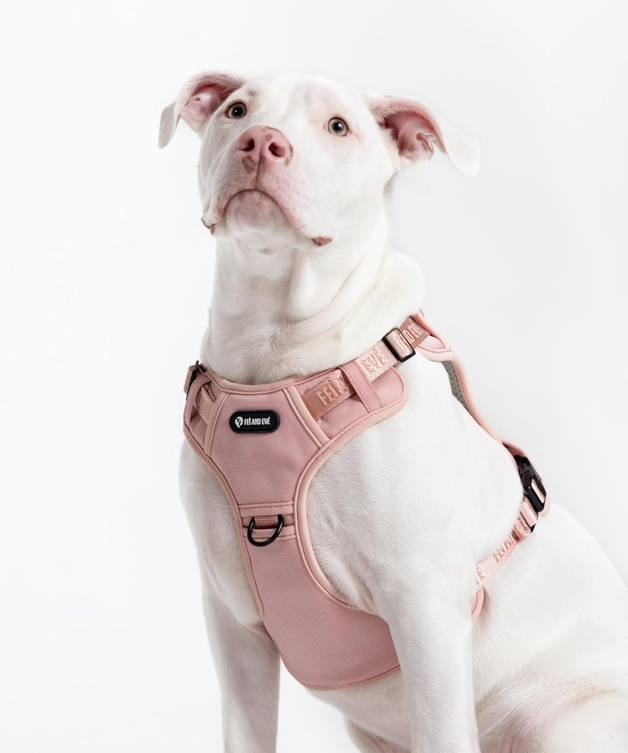 2025 New Edition, Fei & Eve MagEase Dog Harness - 3-Second Magnetic Buckles | 3-Point No-Pull Control | Heavy-Duty 900D Nylon | Dual Safety Handles | Breathable Mesh | Adjustable Fit | Large, Pink - Image 7
