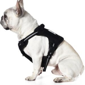 Alternative view of Amazon Basics No Pull Dog Harness, Adjustable Front Clip, Tactical Vest, Small, Black