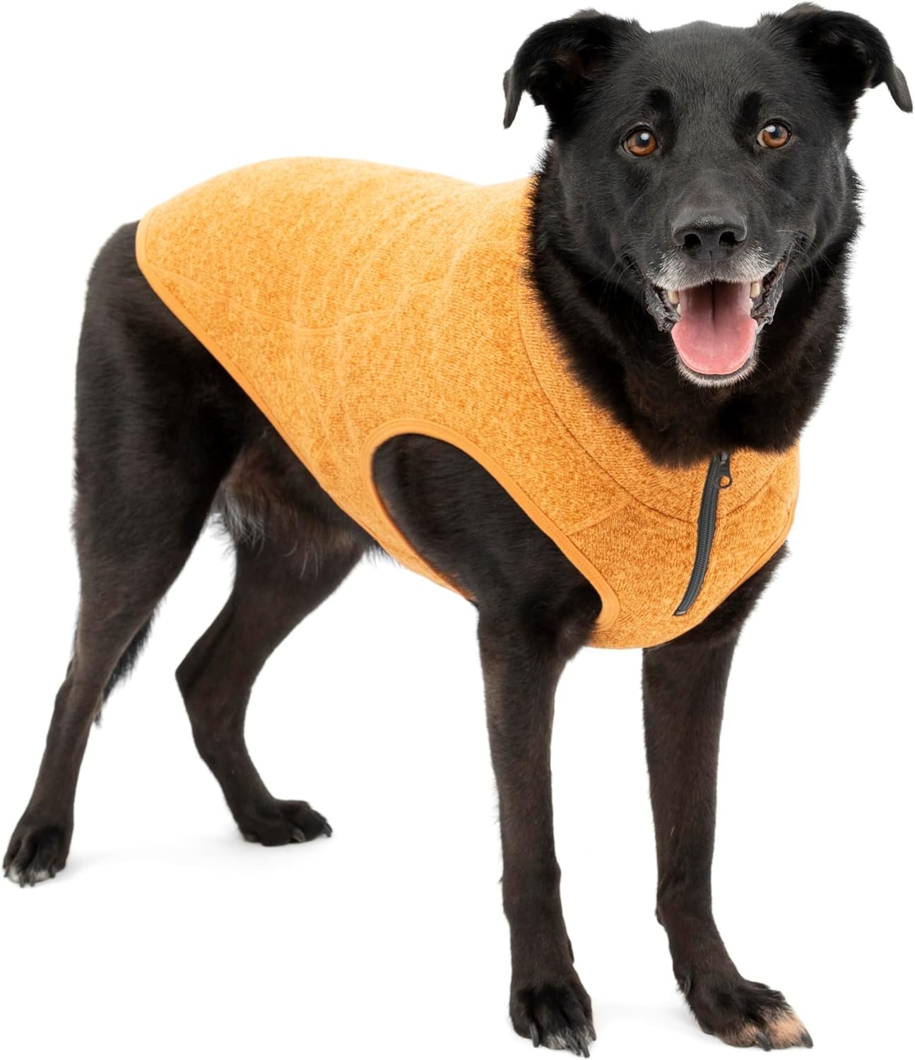 Kurgo Core Dog Sweater, Knit Dog Sweater with Fleece Lining, Cold Weather Pet Jacket, Zipper Opening for Harness, Adjustable Neck, Year-Round Sweater for Large Dogs (Orange, Large)