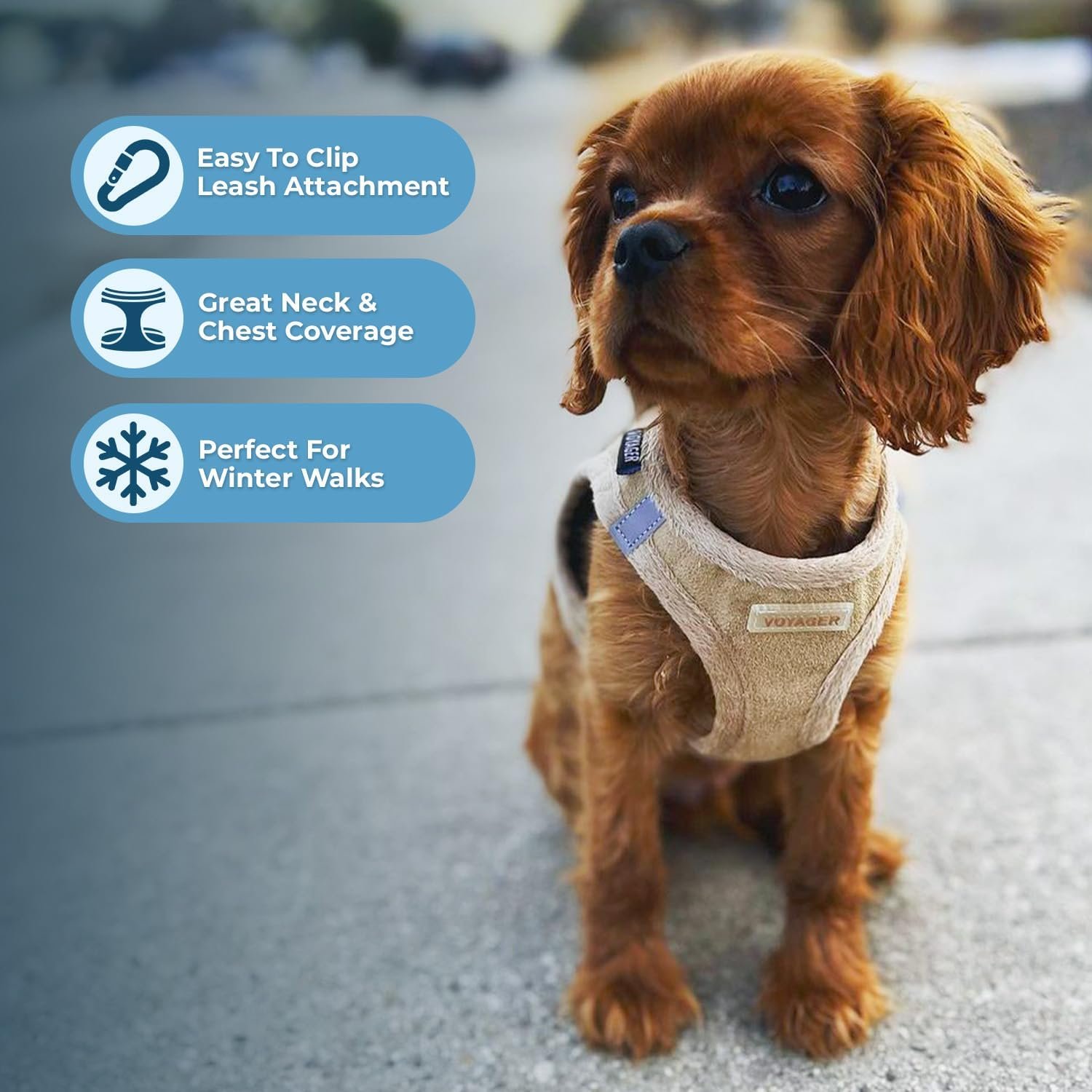 Voyager Step-In Plush Dog Harness – Soft Plush, Step In Vest Harness for Small and Medium Dogs by Best Pet Supplies - Harness (Latte Suede), S (Chest: 14.5 - 16") - Image 5