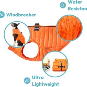 Alternative view of Gooby Puffer Vest Dog Jacket - Purple, Large - Ultra Thin Zip Up Wind Breaker with Dual D Ring Leash - Water Resistant Small Dog Sweater Coat - Dog Clothes for Small Dogs Boy or Medium Dogs, (20.75")