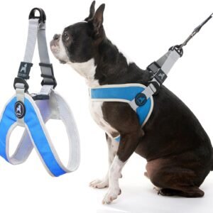Gooby Simple Step in III Harness - Blue, Medium - Small Dog Harness with Scratch Resistant Outer Vest - Soft Inner Mesh Harness for Small, Medium Dogs