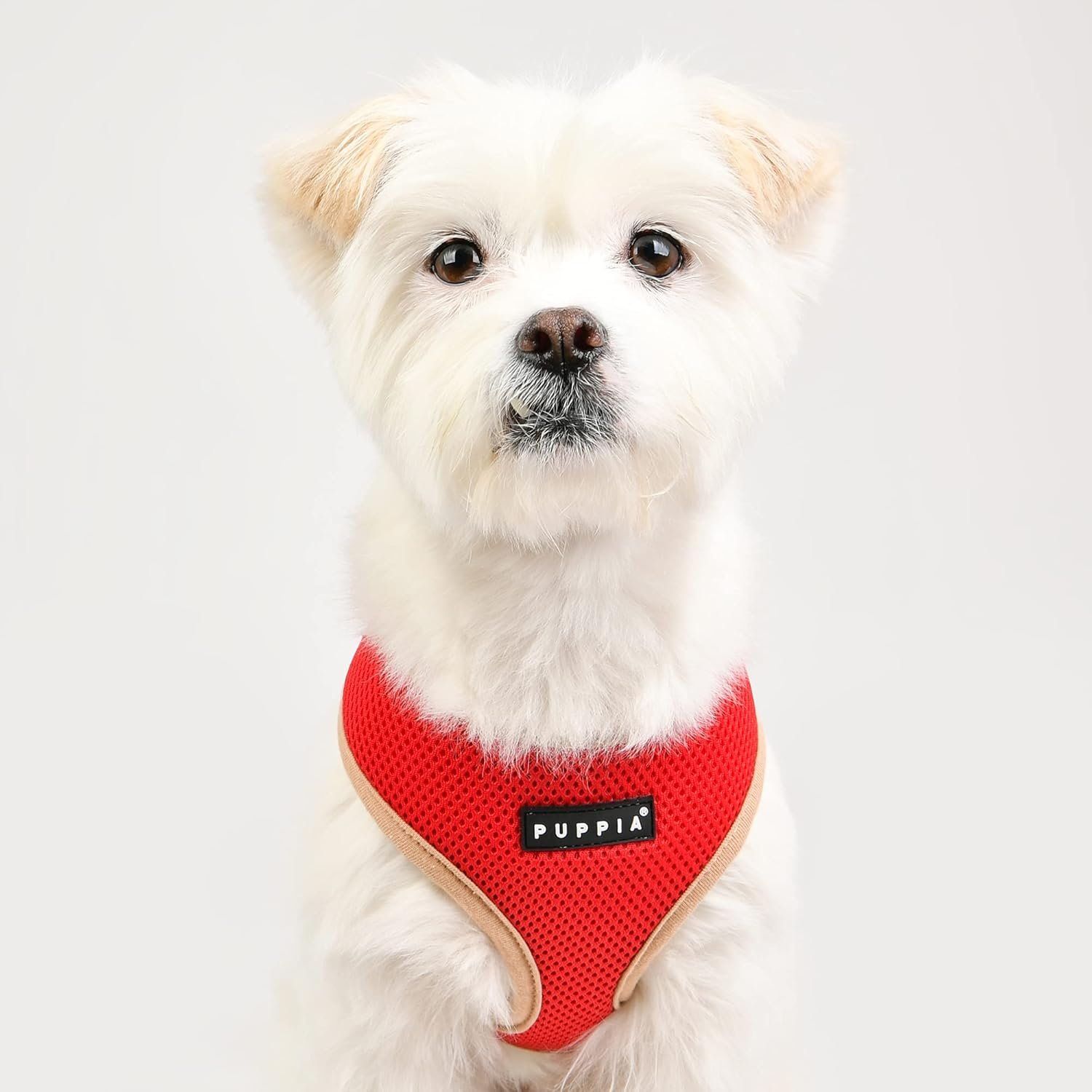 Puppia Soft Dog Harness II Mesh Over-The-Head All Season No Pull No Choke Walking Training Adjustable for Small & Medium Dog - RED - S - Image 5