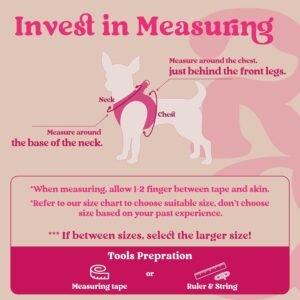 Alternative view of rabbitgoo Small Dog Harness, Step-in Soft Mesh Puppy Vest with Safety Buckle, Breathable Reflective Pet Harness for Small Sized Dogs, Rose Red S