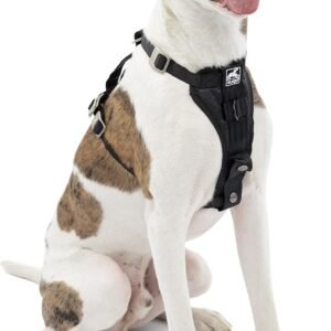 Kurgo Tru-Fit Enhanced Strength Dog Harness - Crash Tested Car Safety Harness for Dogs, No Pull Dog Harness, Includes Pet Safety Seat Belt (Black, Medium)