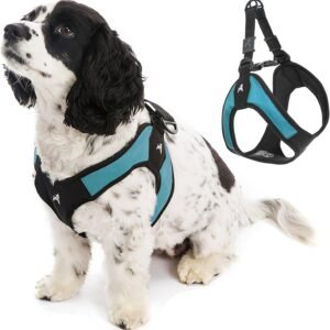 Gooby - Escape Free Easy Fit Harness, Small Dog Step-in Harness for Dogs That Like to Escape Their Harness, Turquoise, Medium