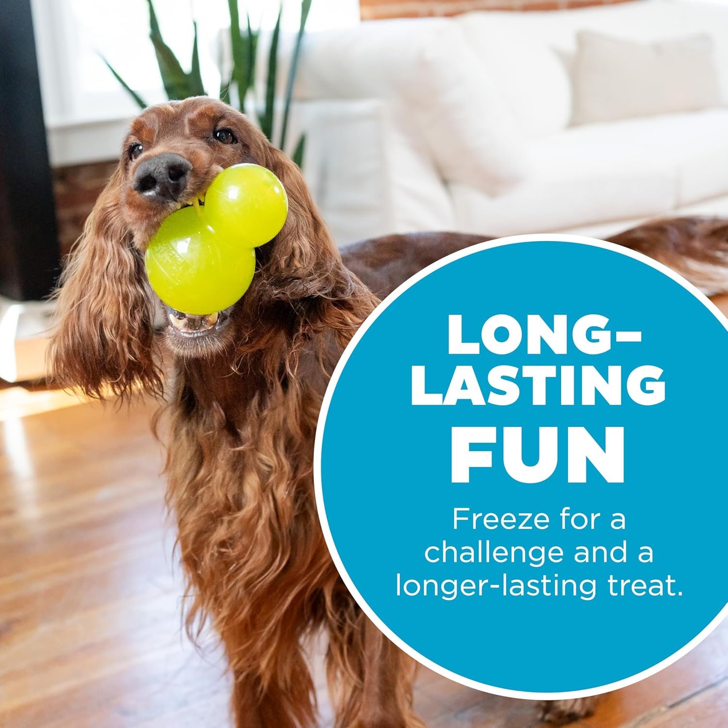 Outward Hound Double-Tuff Stuffable Dog Toy, Large 5-Inch Green - Treat Dispensing Chew Ball for Medium to Large Dogs, Interactive Puzzle for Enrichment & Slow Feeding - Image 5