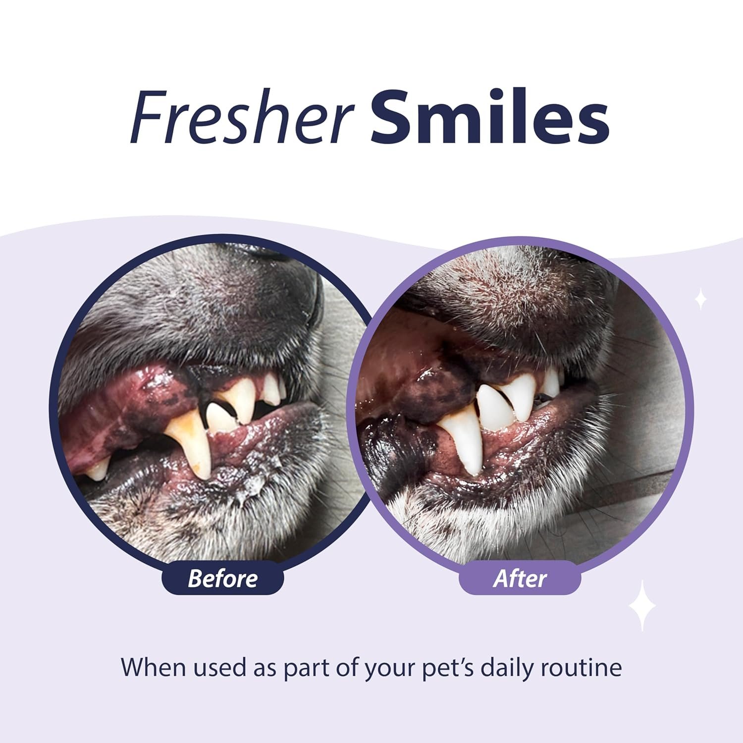 Dental Fresh Advanced Plaque and Tartar Water Additive, 17oz – Dog Teeth Cleaning Formula to Freshen Breath and Improve Cat & Dog Dental Care - Image 3