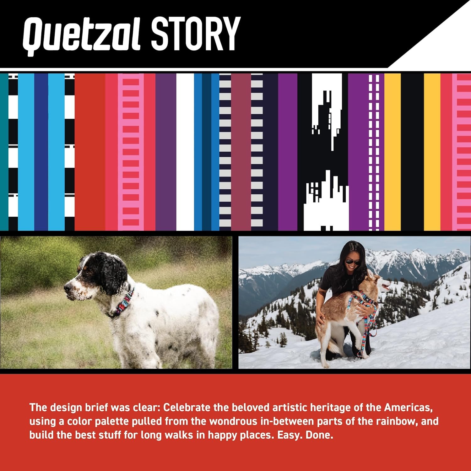 Wolfgang Heavy Duty Adjustable Dog Harness, Pull-Tested to Over 800 lbs for Walking & Training, Quetzal Print, Large - Image 2