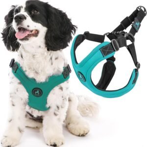 Gooby Escape Free Sport Harness - Turquoise, Large - No Choke Step-in Patented Neoprene Small Dog Harness, Four-Point Adjustment - Perfect on The Go Dog Harness for Medium Dogs No Pull and Small Dogs
