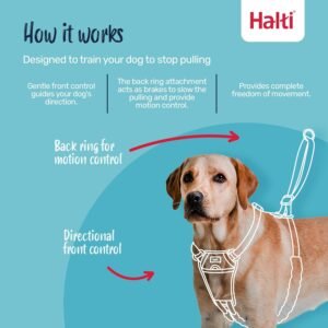 Alternative view of HALTI No Pull Harness - To Stop Your Dog Pulling on the Leash. Adjustable, Lightweight and Easy to Use. Reflective Dog Training Harness for Medium Dogs (Size M)