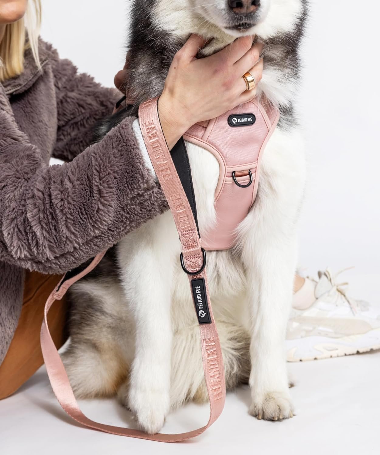 2025 New Edition, Fei & Eve MagEase Dog Harness - 3-Second Magnetic Buckles | 3-Point No-Pull Control | Heavy-Duty 900D Nylon | Dual Safety Handles | Breathable Mesh | Adjustable Fit | Large, Pink - Image 9