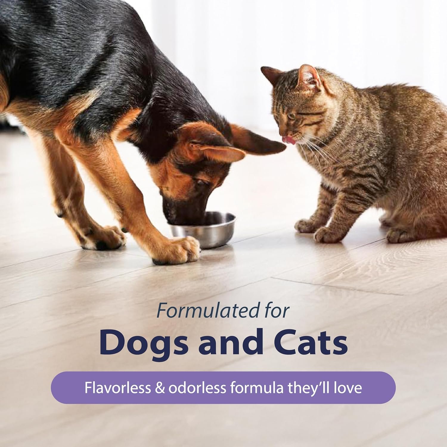 Dental Fresh Advanced Plaque and Tartar Water Additive, 17oz – Dog Teeth Cleaning Formula to Freshen Breath and Improve Cat & Dog Dental Care - Image 5