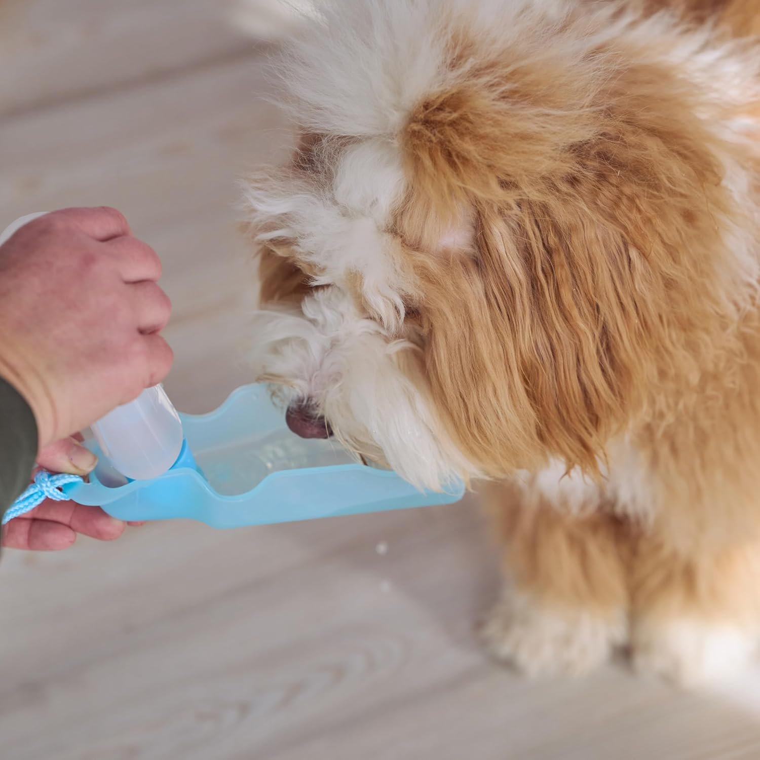 SPOT Pet Handi-Drink Mini Water Bottle – 9oz Travel Dog & Cat Water Dispenser with Fold-Out Trough, Sport Belt Clip & 60-Inch Carry Strap – Portable, Leak-Proof Hydration for Walks & Travel - Image 2