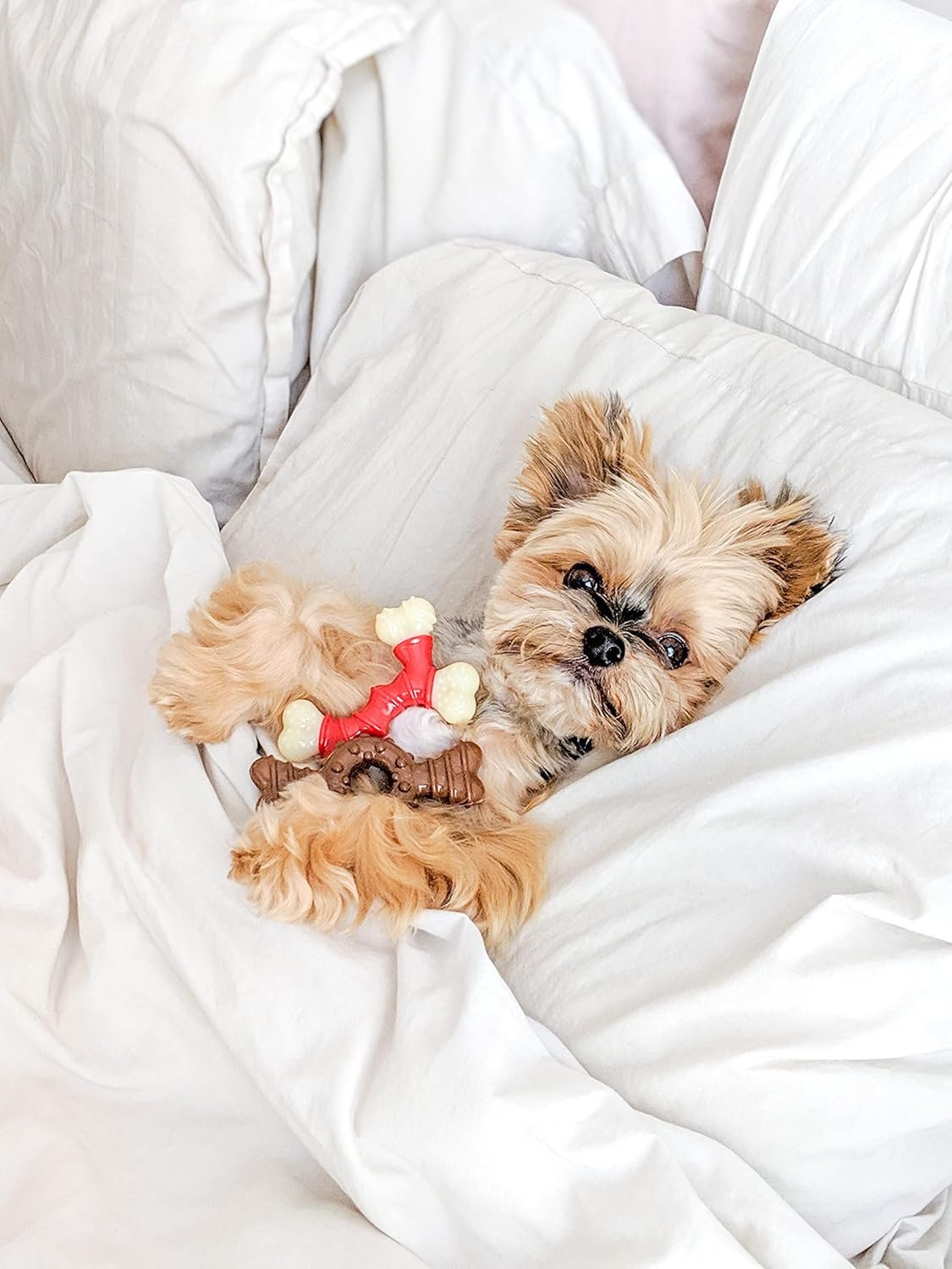 Nylabone Double Bone Power Chew Toy for Dogs, Dog Toys for Aggressive Chewers, Bacon Flavor, X-Small - Up to 15 lbs, 1 Count - Image 3