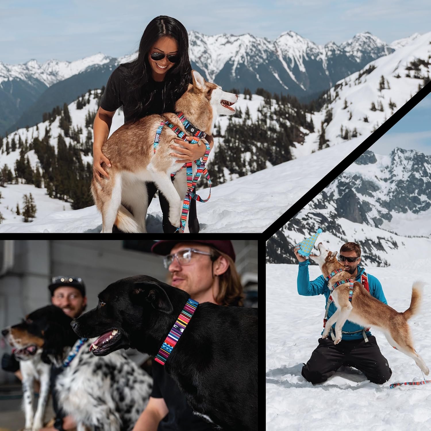 Wolfgang Heavy Duty Adjustable Dog Harness, Pull-Tested to Over 800 lbs for Walking & Training, Quetzal Print, Large - Image 6